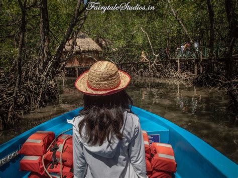 Visit Baratang Island, Middle Andaman Island, India - The Andaman Odyssey
