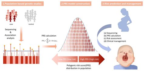 Genetic Inheritance Models of Non-Syndromic Cleft Lip with or without Palate: From Monogenic to ...