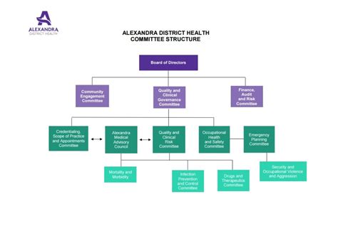 Committee Organisation Structure 的图像结果