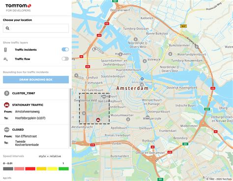 Traffic Tutorial | Maps SDK Web JS v6 | TomTom Developer Portal