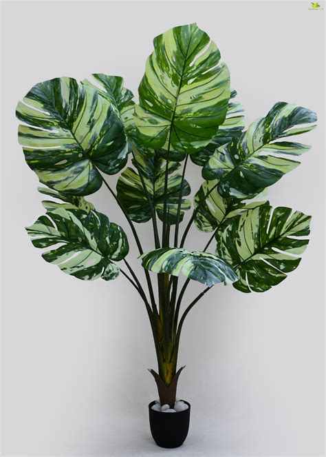 Artificial Monstera Tree Plant for Decor | 11 Leaves With Basic Pot ...