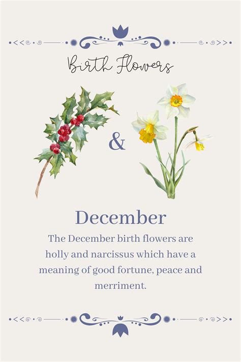 December birth flowers – Artofit
