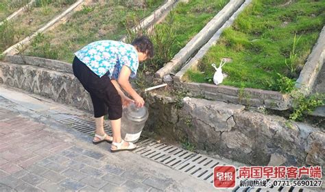 接回家的山泉水里发现两条蚂蟥！杭州这个取水点很多人喝了很多年，是不是应该做一下水质检测？_腾讯新闻