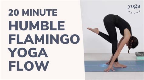 Exercise Behinner 的图像结果