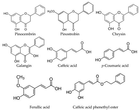 Plant Sources Responsible for the Chemical Composition and Main ...