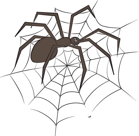 Free spider art, Download Free spider art png images, Free ClipArts on ...
