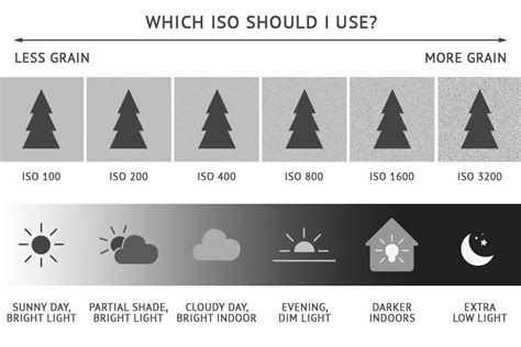 Image result for Camera ISO Explained