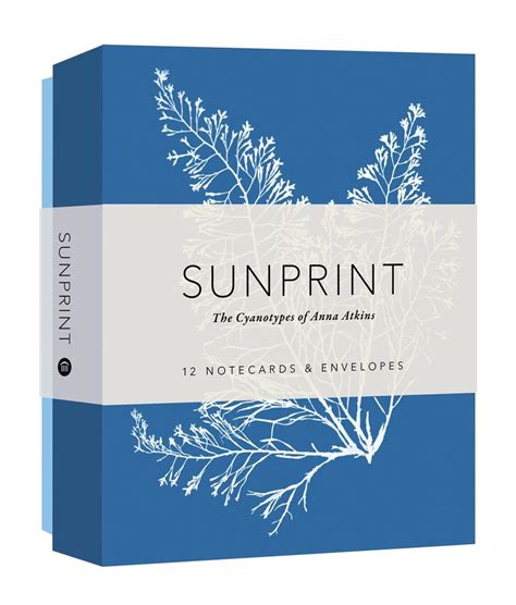 Buy Sunprint Notecards: The Cyanotypes of Anna Atkins (12 notecards; 12 ...