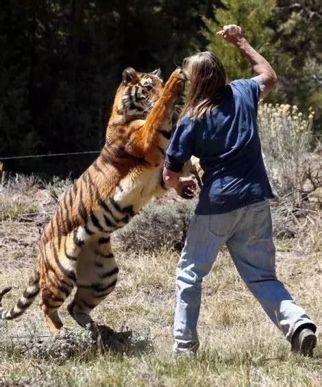 千万不要背对老虎！