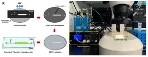 The Effect of Oil Viscosity on Droplet Generation Rate and Droplet Size ...