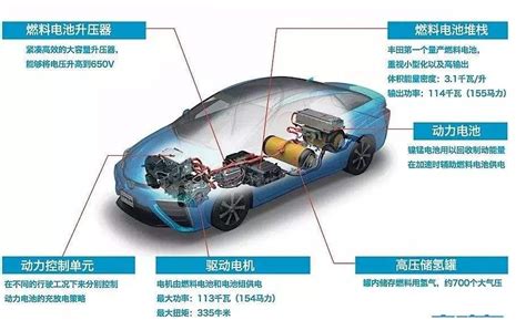 Image result for Snake Side View Python