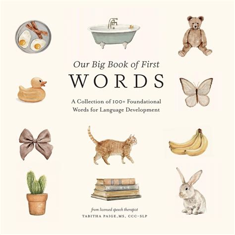 Amazon.com: Our Big Book of First Words: A Collection of 100 ...
