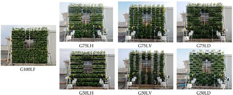 The Impact of Coverage Forms of Exterior Vertical Greening Walls on the ...