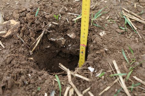 Nebraska Soil Testing Laboratories 的图像结果