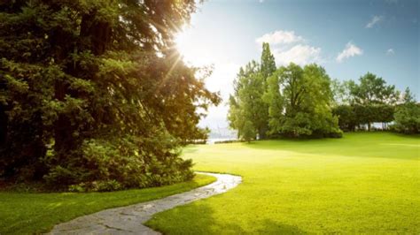 Best 8 Parks in Riyadh: For Quality Time in Nature's Lap