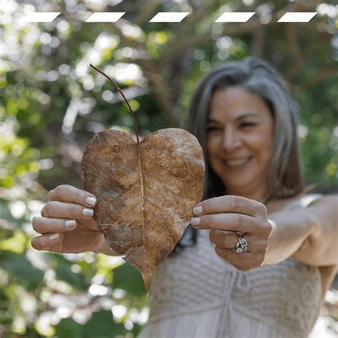 Postcard Storyboard | Connect to Your Essential Nature | Costa Rica ...