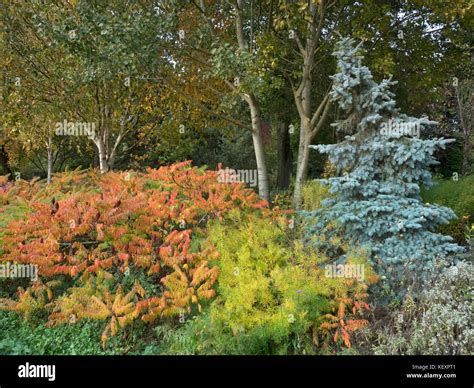 Autumn Care Of Norfolk