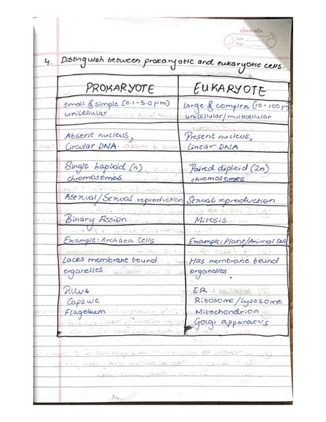 Ch1- Cell Biology IB notes - Studocu
