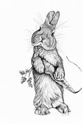 Image result for Easter Bunny Sketches