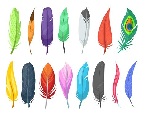 Bird Feather Clip Art