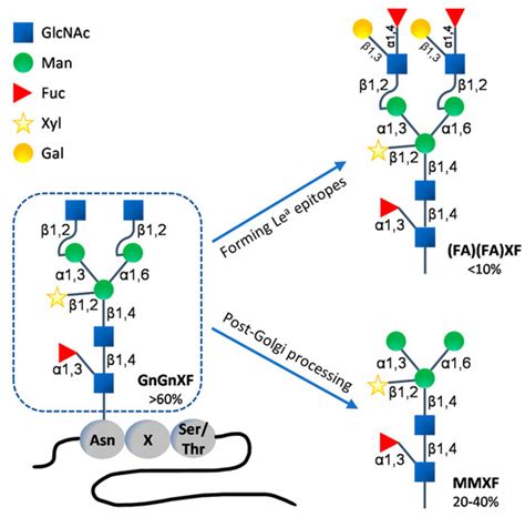Improving Protein Quantity and Quality—The Next Level of Plant ...
