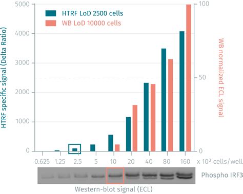 HTRF Human Phospho-IRF3 (Ser386) Detection Kit, 10,000 Assay Points ...