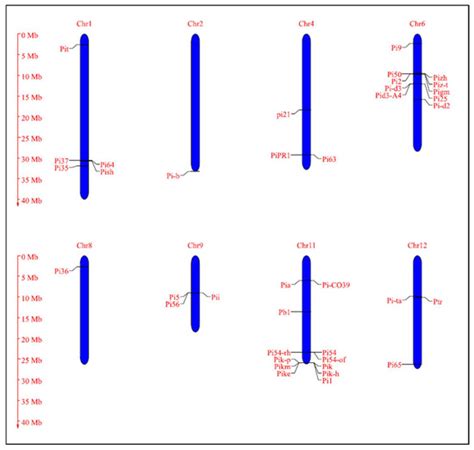 Understanding the Dynamics of Blast Resistance in Rice-Magnaporthe ...