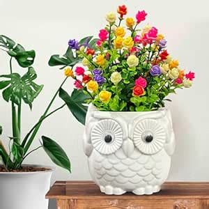 Buy ASHARYA® Artificial Fern Plant with Cute Design Owl Planter, Fake ...