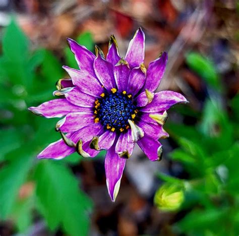 Understanding Assessment Tools In Practice, Improving Lives Counseling ...