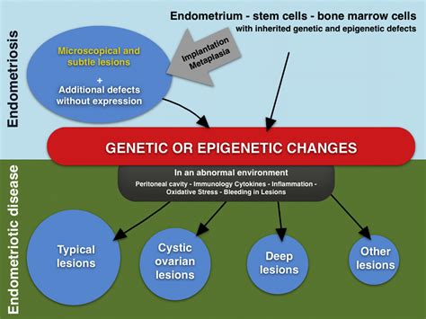 Pathogenesis of endometriosis: the genetic/epigenetic theory - Fertility and Sterility
