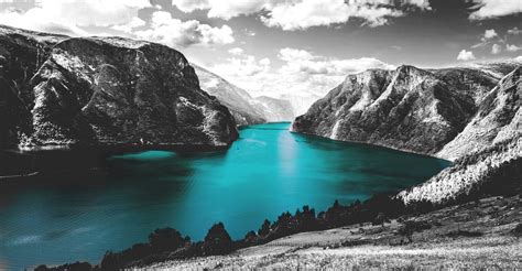 Image result for Color Splash Photography