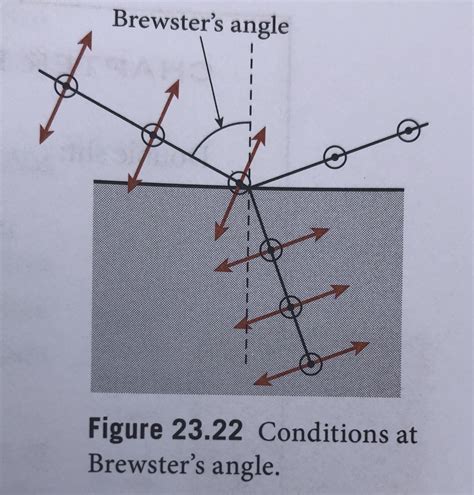 Answered: Brewster's angle Figure 23.22… | bartleby