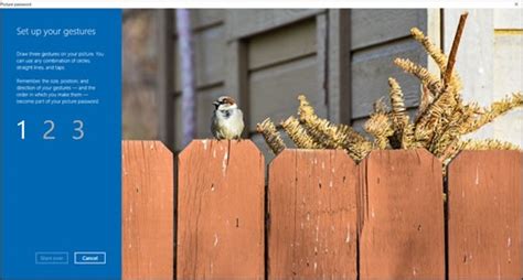 HP PCs - Set up sign-in options for Windows Hello (Windows) | HP® Support