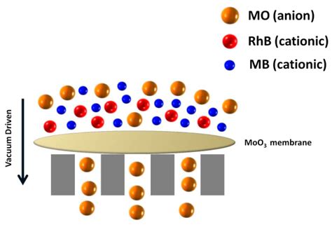 Fabrication of MoO3 Nanowire-based Membrane Devices for the Selective ...