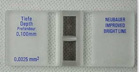 Amazon.in: Hemocytometer