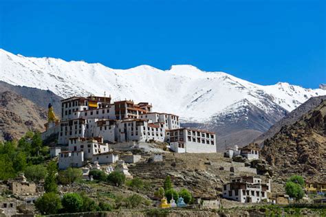 Ladakh in Winters | Sights And Sounds of Ladakh in January | TimesTravel