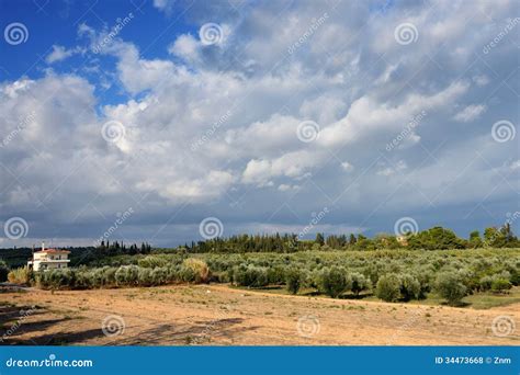 Greece, rural landscape stock photo. Image of garden - 34473668