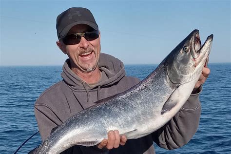 Lake Michigan Salmon Fishing - Michigan sport Fishing Co