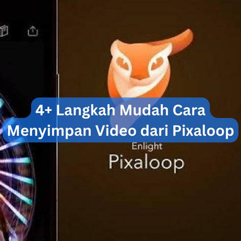 Pixaloop Tutorial 的图像结果