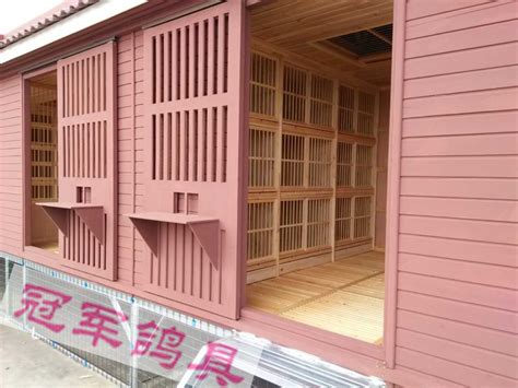 阳台鸽舍使用一年以后的情况-中国信鸽信息网相册