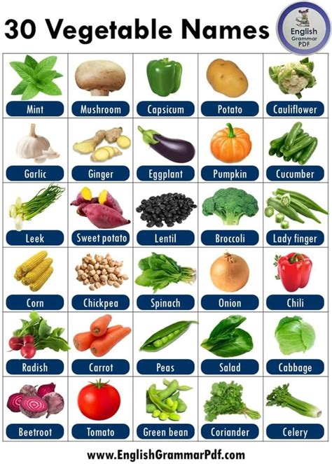 Pin by Gustavo Quesada on english vocabulary | Name of vegetables, List ...