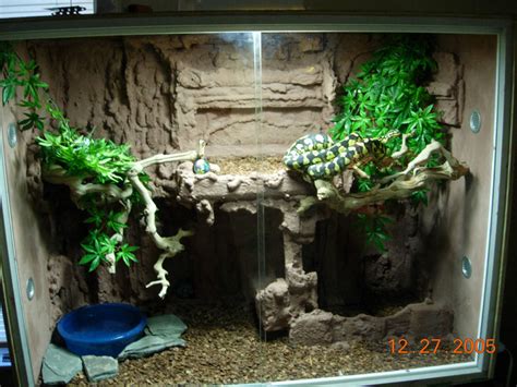 Image result for Reptile Python Cage