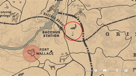 Red Dead Redemption 2 Legendary Animals Guide - RDR2.org