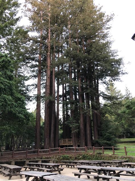 Sanborn County Park Camping | Saratoga, CA