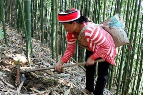 夺笋是什么梗?出自网红郭老师(谐音多损一词)_探秘志