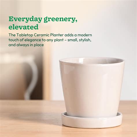 Table Top Ceramic Pot – Ugaoo