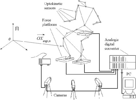 Reference Frame vs Reference System 的图像结果