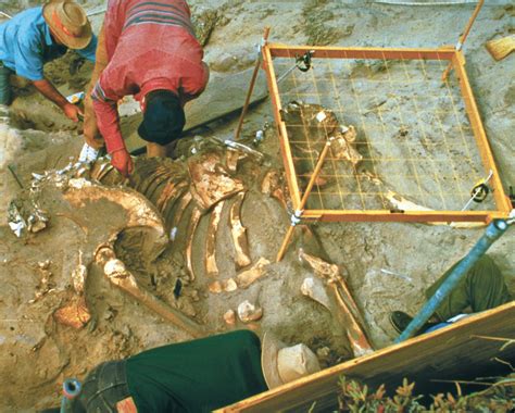 Quaternary Time Period Climate