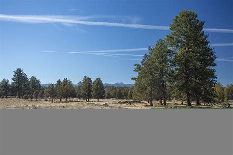 Circuito C Del Camping Riley Ranch