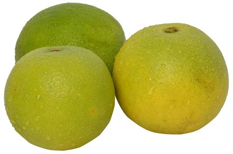 Fresh Produce Mosambi, 6 pcs (800g to 1kg) : Amazon.in: Grocery ...